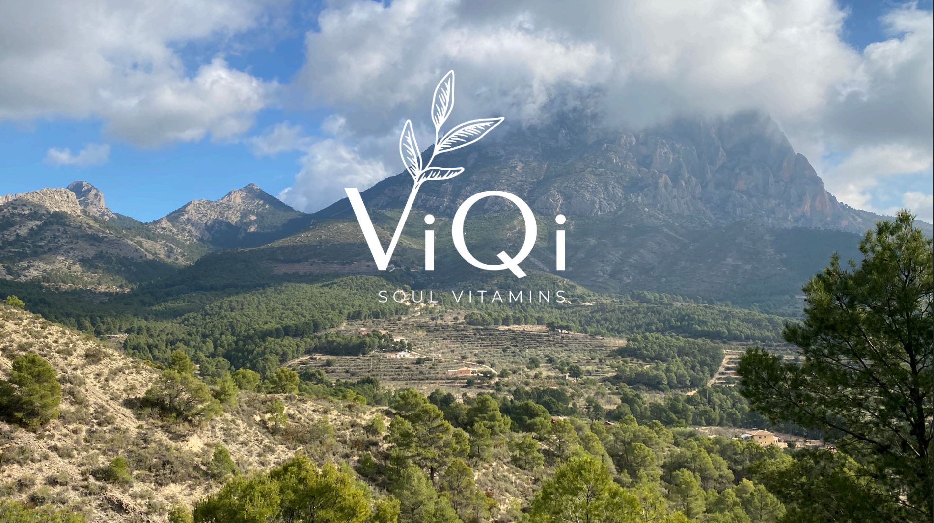 Información sobre ViQi (Information about ViQi)